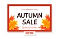 Autumn sale vector banner design. Vector illustration.