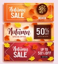 Autumn sale vector banner set template with colorful maple leaves background
