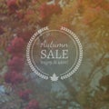 Autumn Sale Vector Banner on Vector Photorealistic Blur Background