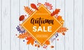 Autumn sale vector poster of banner of maple leaf and rowan berry