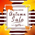 Autumn sale vector poster design with colorful autumn leaves and sale discount text for fall season shopping promotion