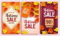 Autumn sale vector poster design set with colorful maple leaves element Royalty Free Stock Photo