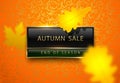 Autumn sale vector poster with yellow autumn leaves. Bright luxury banner. Golden text on black green rectangular label gold frame Royalty Free Stock Photo