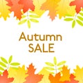 Autumn Sale - vector white background with autumn leaves