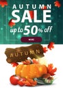 Autumn sale, vertical discount web banner for your site with polygonal texture, harvest of vegetables and a wooden sign Royalty Free Stock Photo