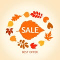 Autumn sales banner