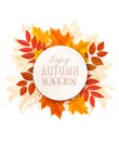 Autumn Sales Banner With Colorful Leaves.