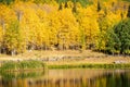 Autumn in the San Juan Mountains of Colorado. Aspen Trees With Shadows and Reflections on a Mountian Lake