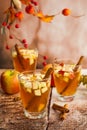 Autumn Sangria Royalty Free Stock Photo