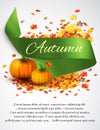 Autumn satin ribbon Royalty Free Stock Photo