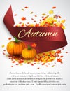 Autumn satin ribbon Royalty Free Stock Photo