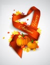 Autumn satin ribbon Royalty Free Stock Photo