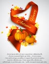 Autumn satin ribbon Royalty Free Stock Photo