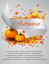 Autumn satin ribbon Royalty Free Stock Photo