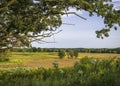 Autumn Savanna Royalty Free Stock Photo