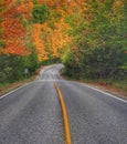 Autumn Scene On A Back Road In Dufferin County, Ontario