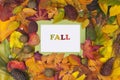 Autumn scene background with colorful leaves Royalty Free Stock Photo