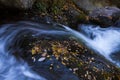 Autumn scene in Camprodon, Ripolles, Pyrenees, Spain