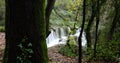 Autumn scene in Can Batlle, La Garrotxa, Girona, Catalonia, Spain