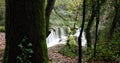 Autumn scene in Can Batlle, La Garrotxa, Girona, Catalonia, Spain