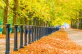 Constitution hill road lined with trees in Green Park, London Royalty Free Stock Photo