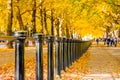 Constitution hill road lined with trees in Green Park, London Royalty Free Stock Photo
