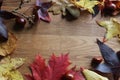 Autumn scene copy space and frame leaves cones conkers on a wooden background