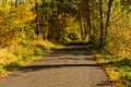 Autumn scene. Fall background. Colorful leaves in park everywhere. Trees and path covered by yellow foliage. Royalty Free Stock Photo