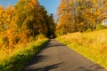 Autumn scene. Fall background. Colorful leaves in park everywhere. Trees and path covered by yellow foliage. Royalty Free Stock Photo