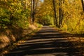 Autumn scene. Fall background. Colorful leaves in park everywhere. Trees and path covered by yellow foliage. Royalty Free Stock Photo