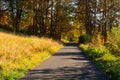 Autumn scene. Fall background. Colorful leaves in park everywhere. Trees and path covered by yellow foliage. Royalty Free Stock Photo