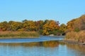 Autumn scene of fall colors along shore Royalty Free Stock Photo