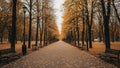 An autumn scene featuring a tree lined pathway covered with fallen Royalty Free Stock Photo