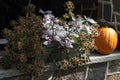 An autumn scene with the flowers and a pumpkin. Royalty Free Stock Photo