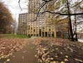 Autumn scene, with a high rise building, old trees, and fallen leaves near, Belgrave Street, Leeds, UK