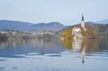 Autumn scene of Lake bled with the beautiful church.