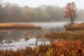 autumn scene, with marsh covered in colorful foliage and mist rising from the water