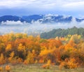 Autumn scene with mountains on background