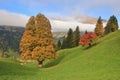 Autumn scene near Gstaad Royalty Free Stock Photo