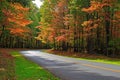 Autumn Forest Road Royalty Free Stock Photo