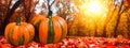 Autumn Scene Pumpkins - Trees - Sunshine - AI Art