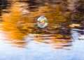 Autumn scene at a river with clear water and reflection of a soap bubble