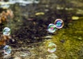 Autumn scene at a river with clear water and reflection of a soap bubble