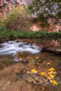 Autumn scene on a river, long exposure, water silk effect