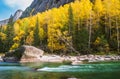 Autumn scene on riverside