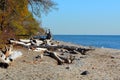 Autumn scene of sandy beach along lake front Royalty Free Stock Photo