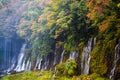 Autumn scene of Shiraito waterfall Royalty Free Stock Photo
