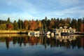 Autumn Scene, Stanley Park Royalty Free Stock Photo