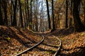 Autumn scene with a train track and a forest in the background Royalty Free Stock Photo