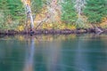 Autumn Scene On York River In Egan Chutes Provincial Park Royalty Free Stock Photo